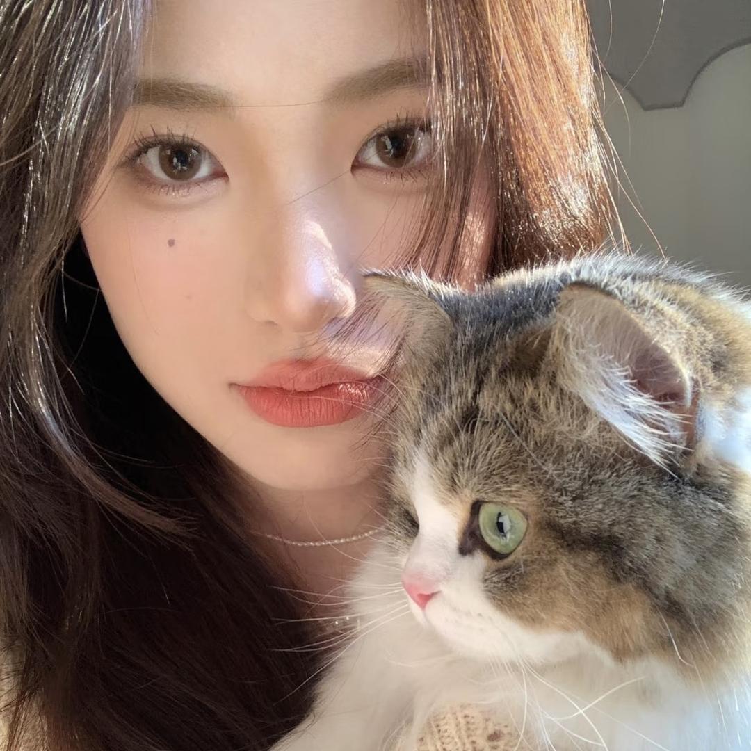 菲秋百货