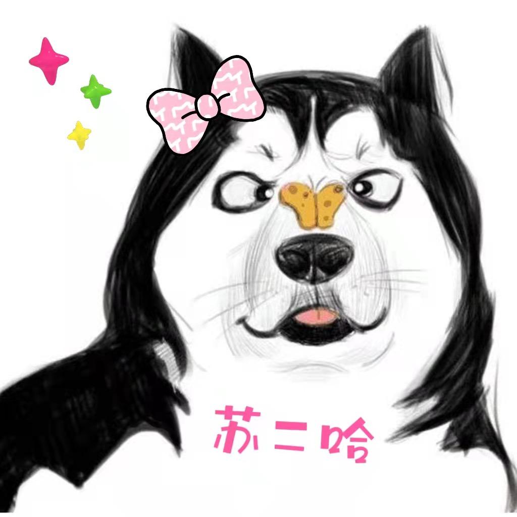 二哈总裁