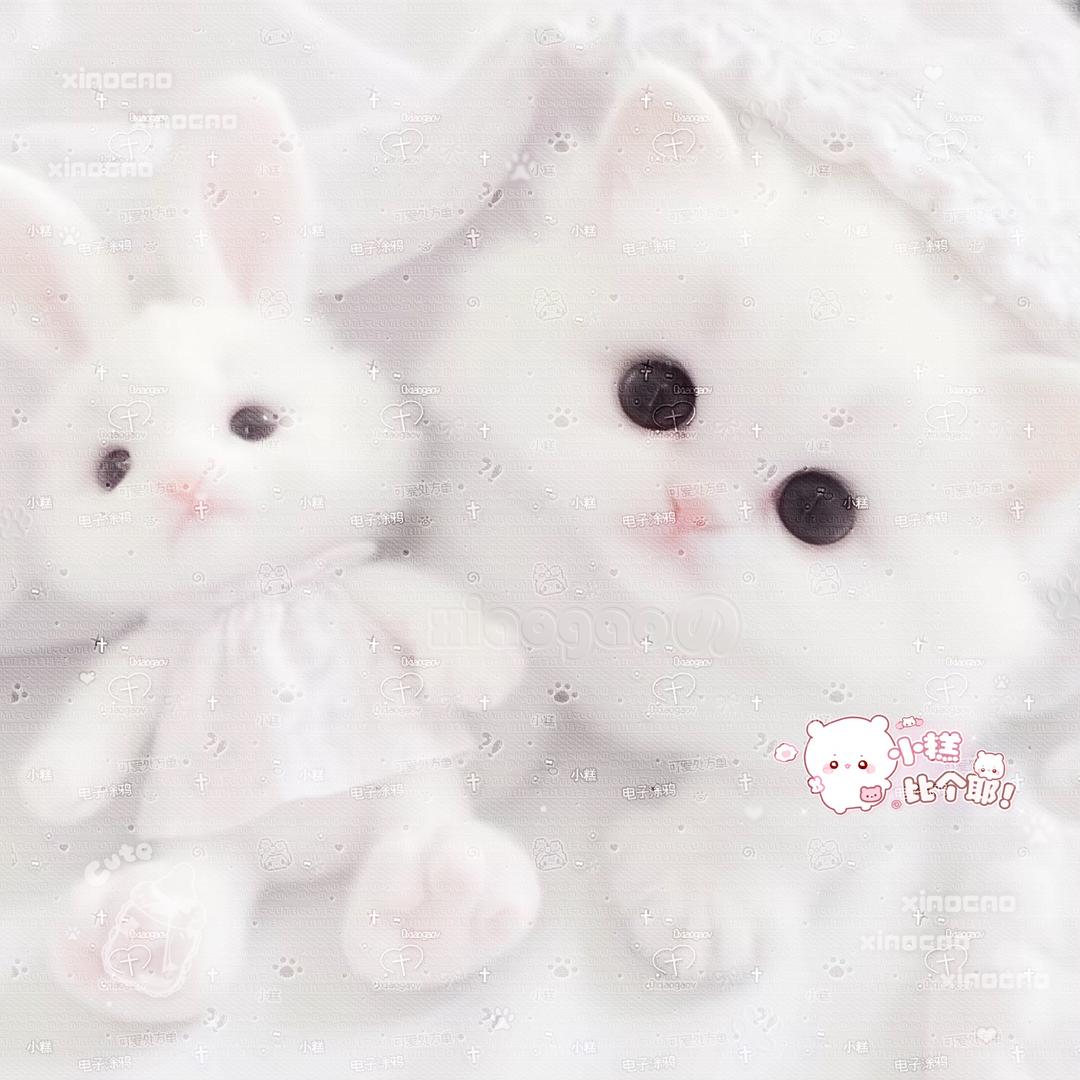 开拖拉机的小猫