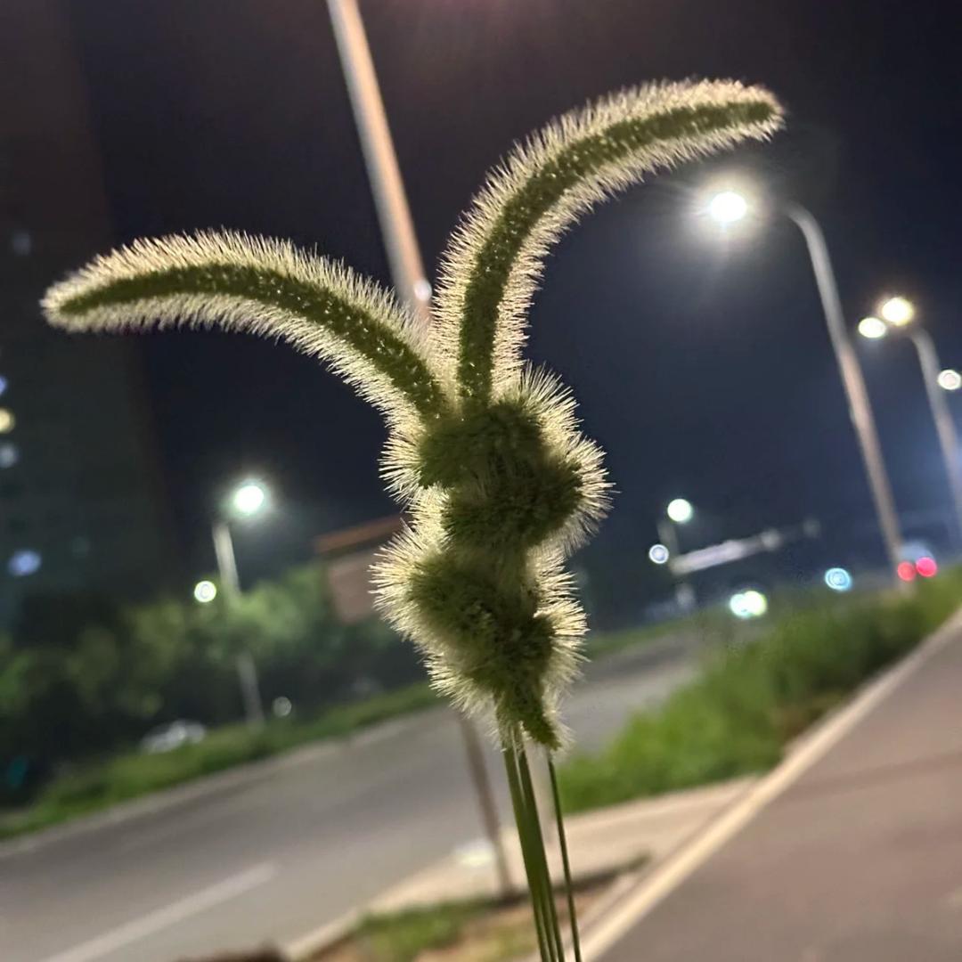 小心思