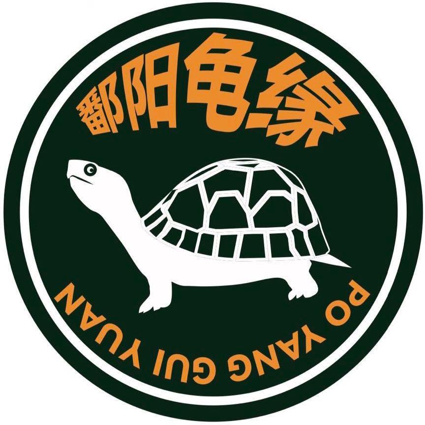 鄱阳龟缘