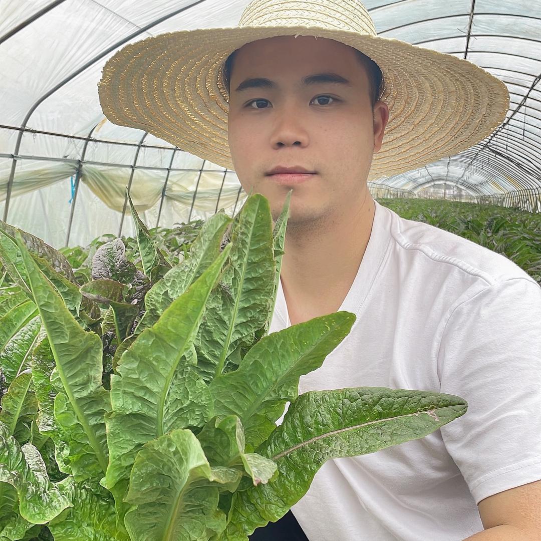 小鲁果蔬