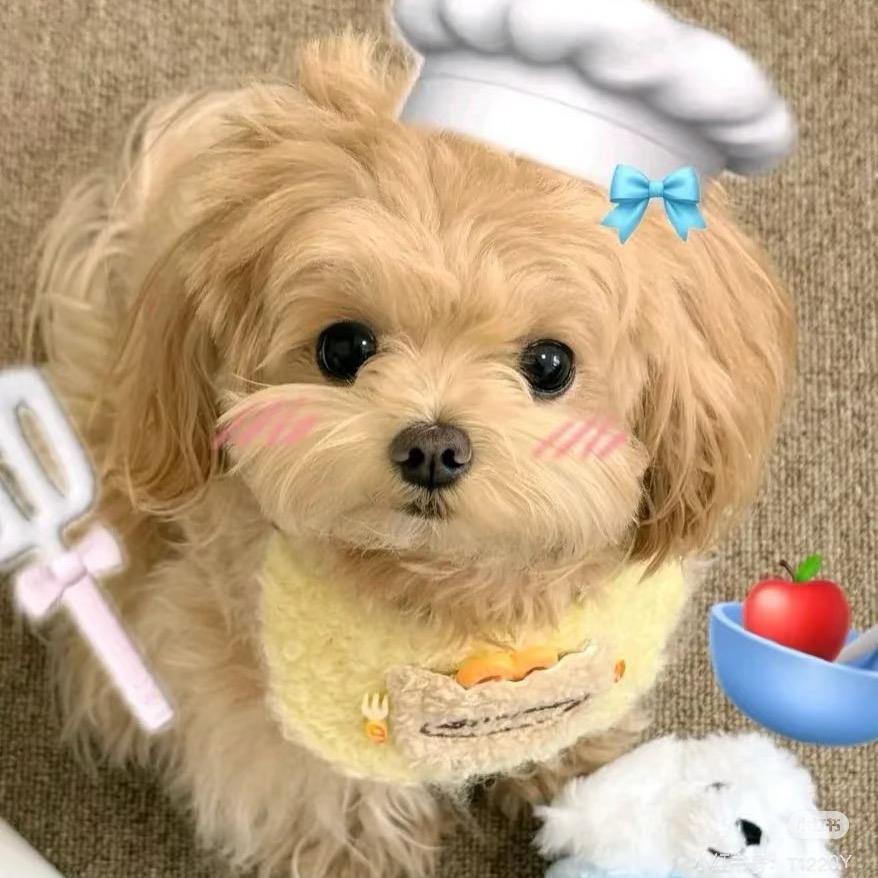 吃鸡蛋不吃蛋黄