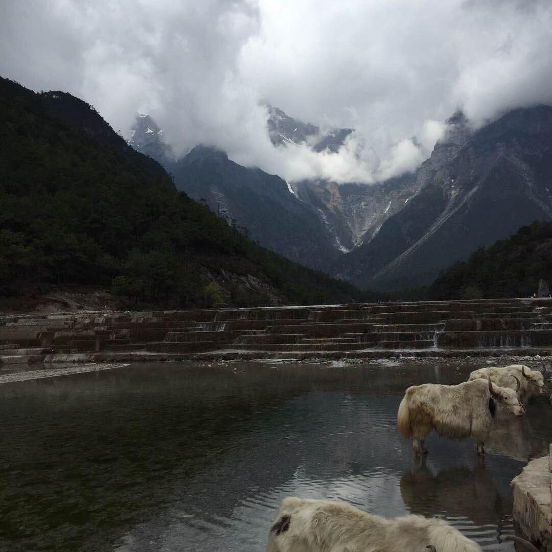 影視達人（关必回）
