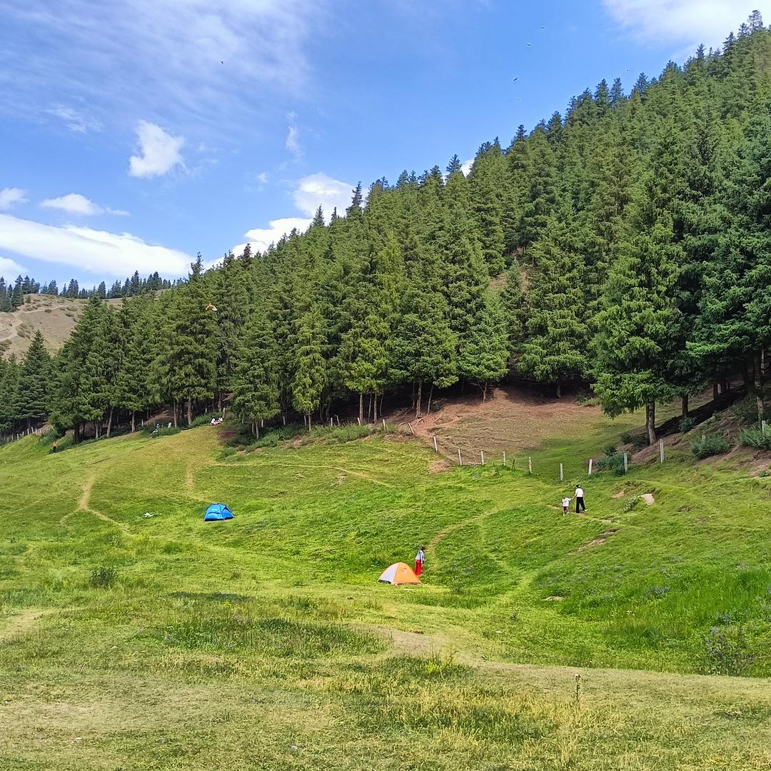 不愿透露姓名的小白