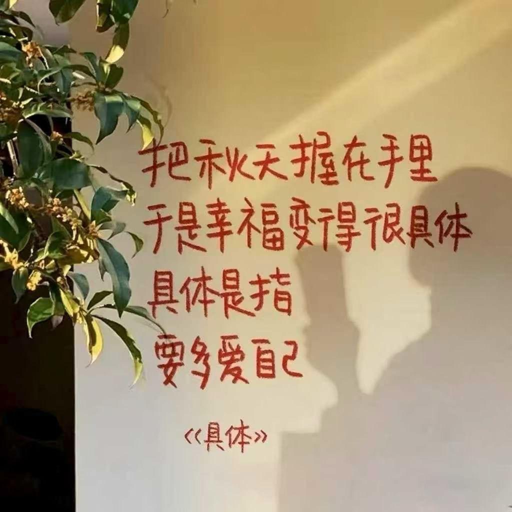 北京鲜珺科技有限公司运营