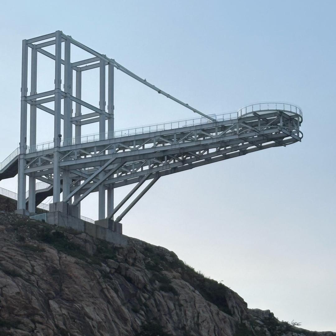 日落后的向日葵🌻