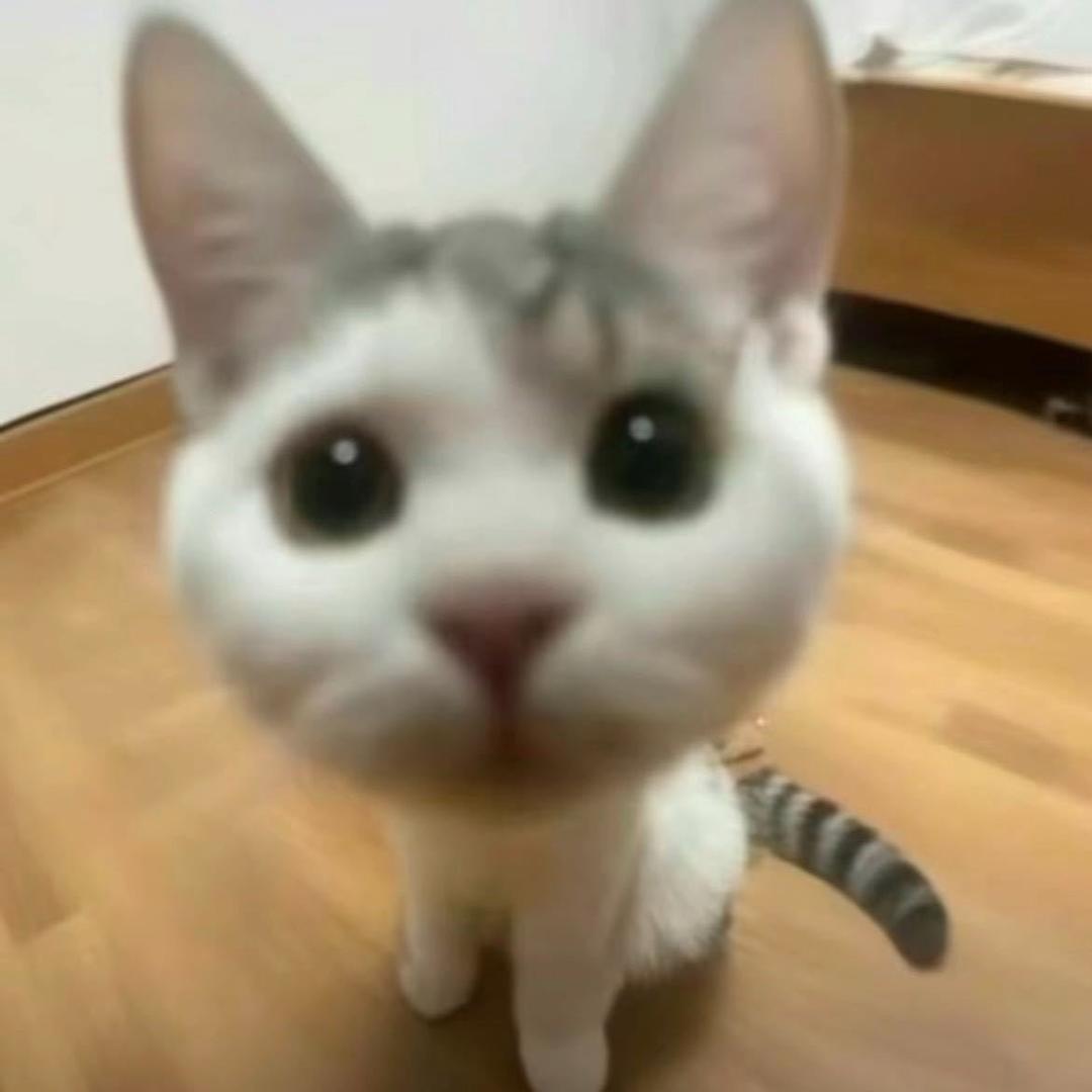 菠菜