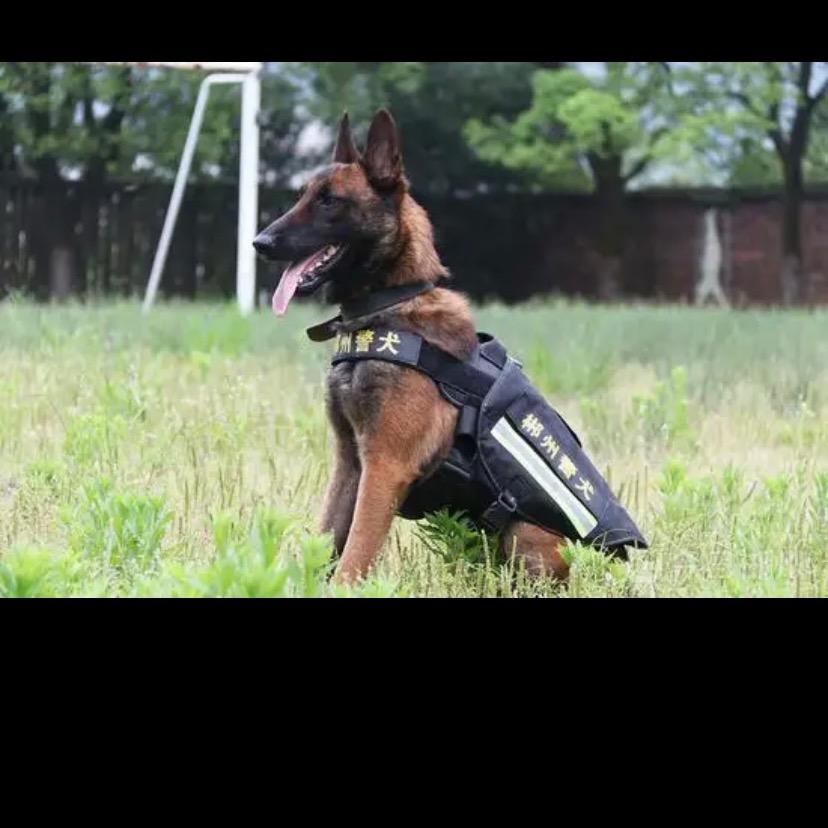 🌈小妞 王哪里跑🌈