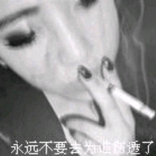龙山海洋🐑肉汤馆