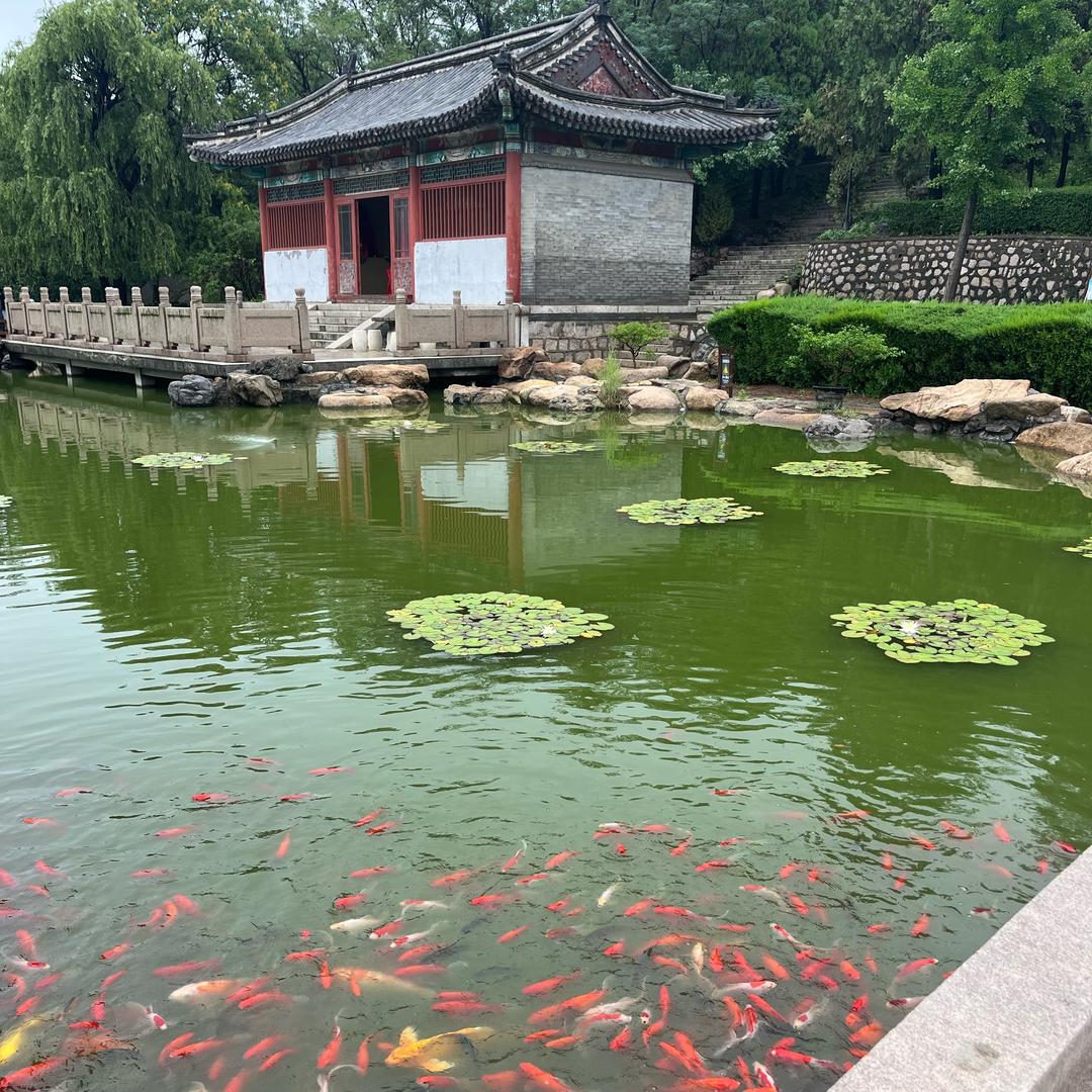 小波