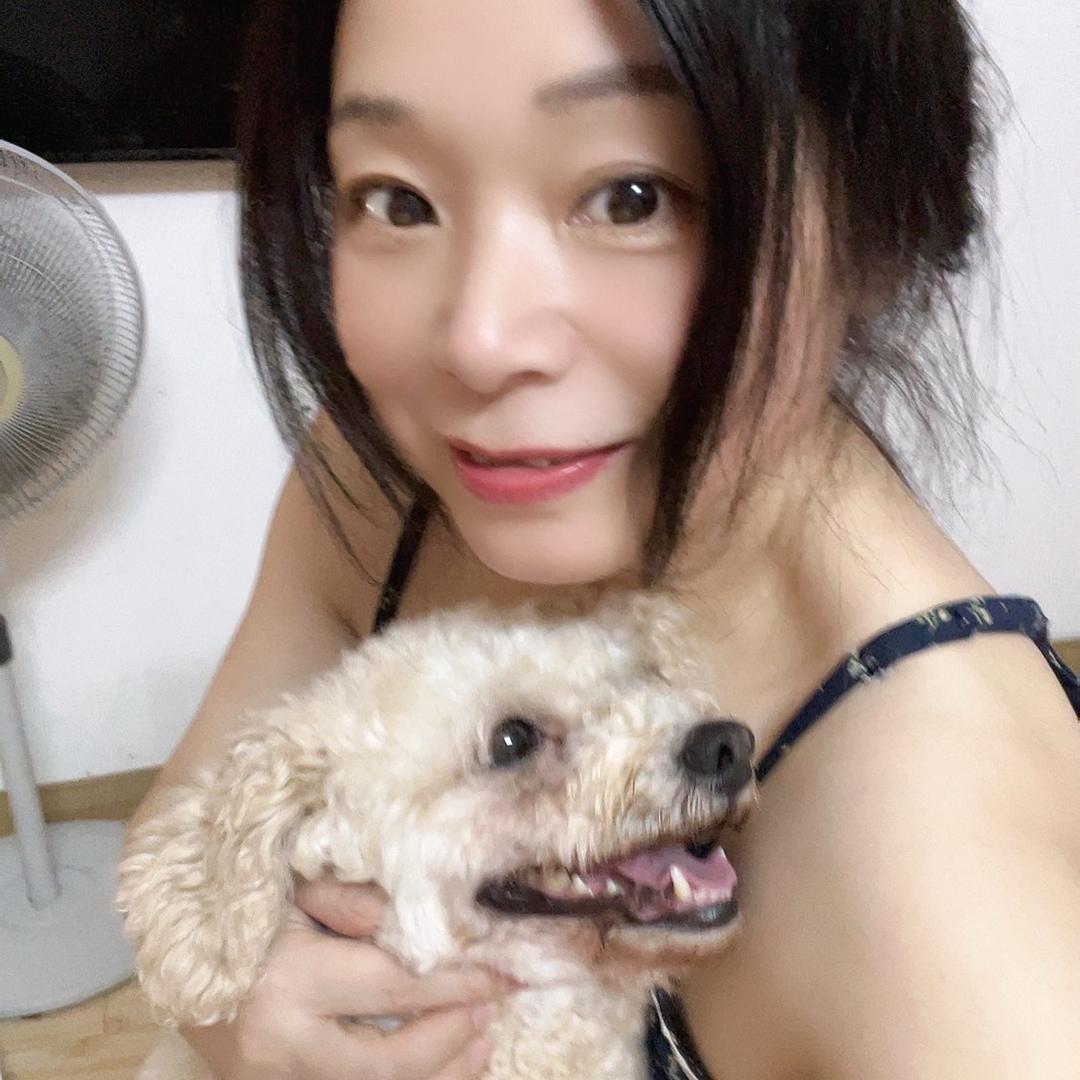 一肖倾城