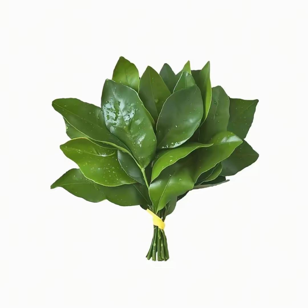 财源广进.