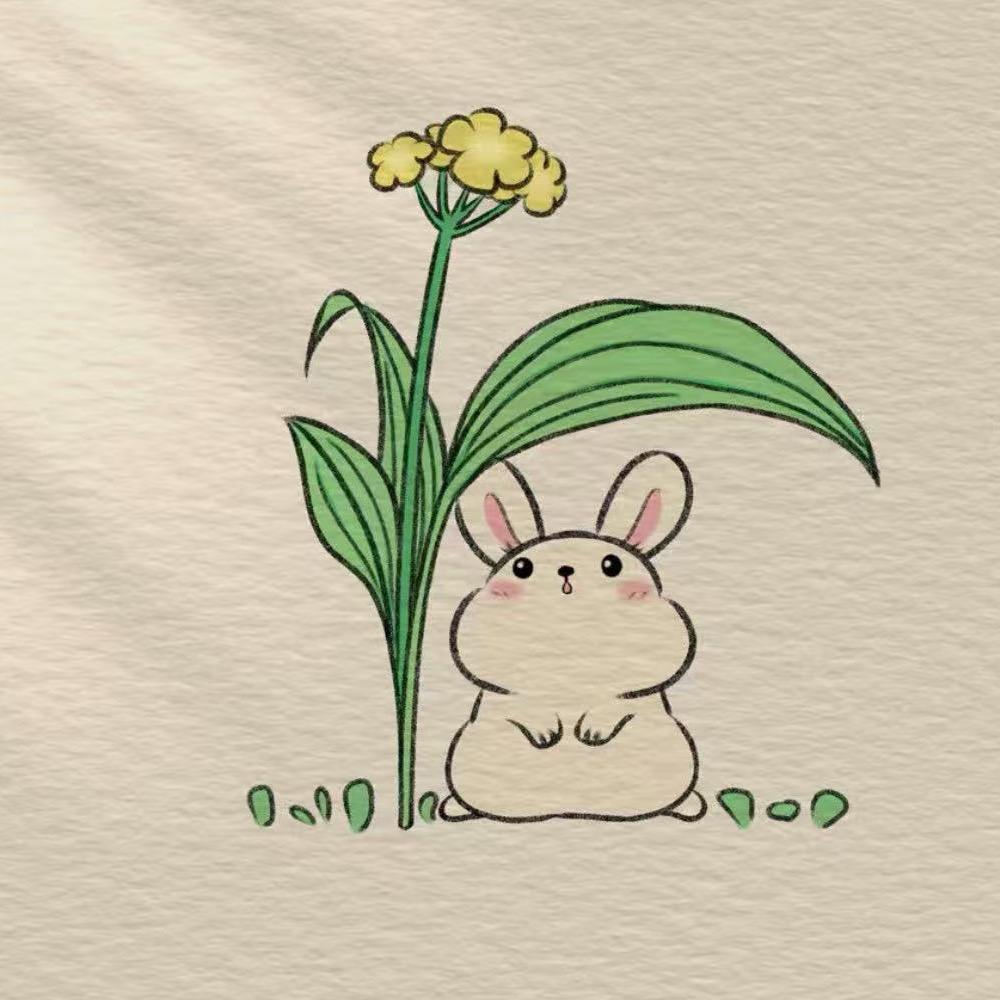 青青解说酱