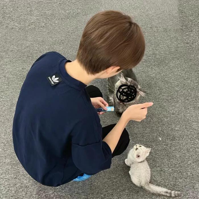 球球大作战温柔乐