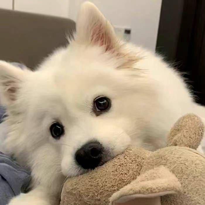 进贤卖房的小黄