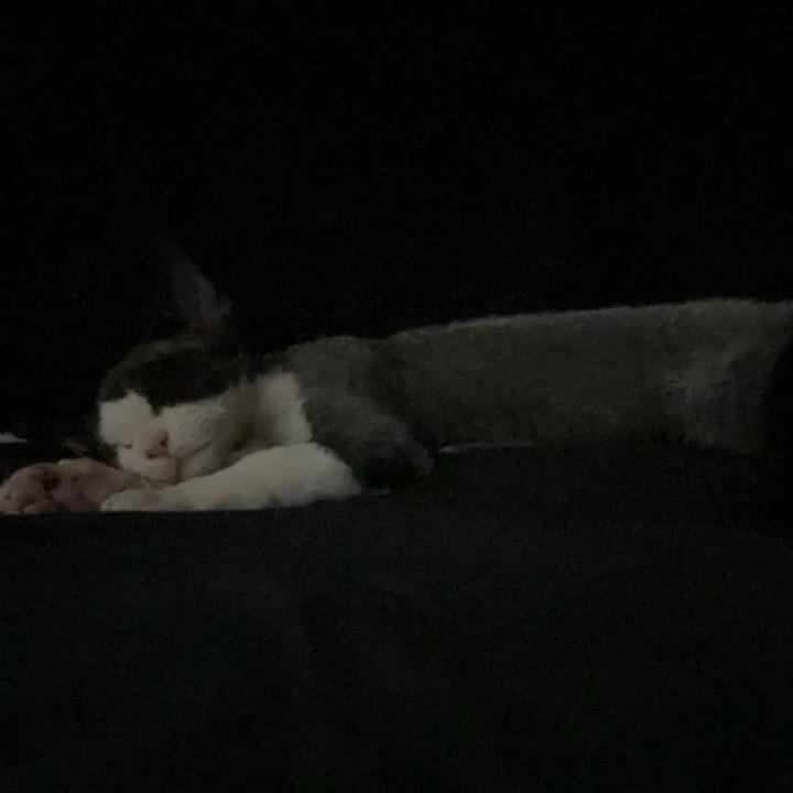 文玩直播交流_老白