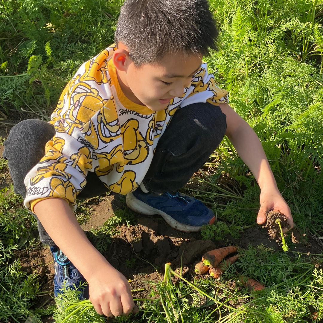 学霸也爱玩游戏