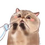 用户110062