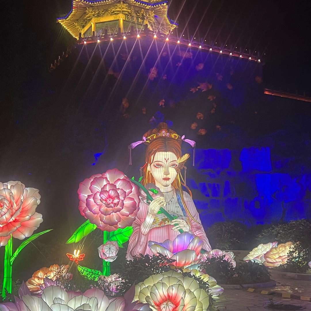 淄博美