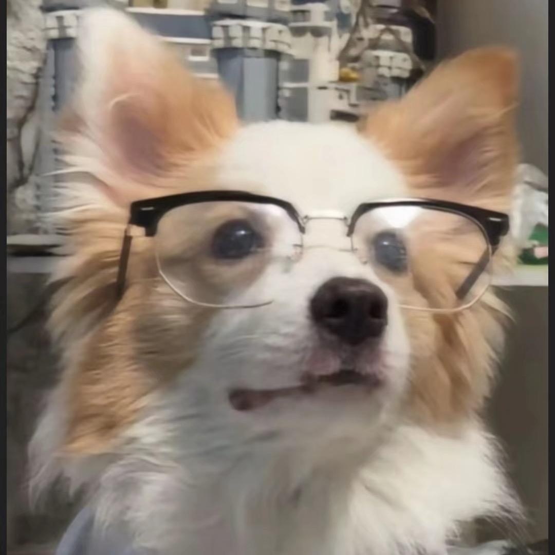 ℳ̶̶̶̶♡̶҉YZX꧔ꦿ℘