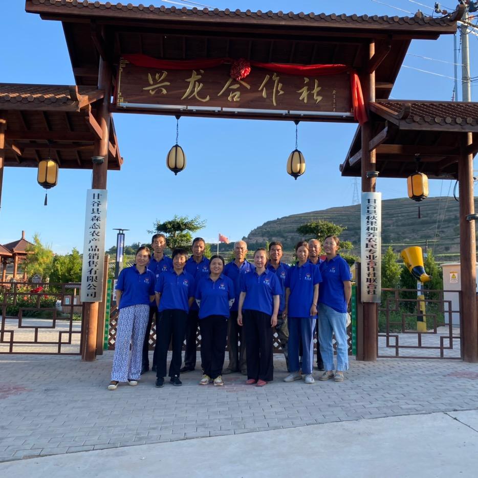 京东农场有机苹果种植基地