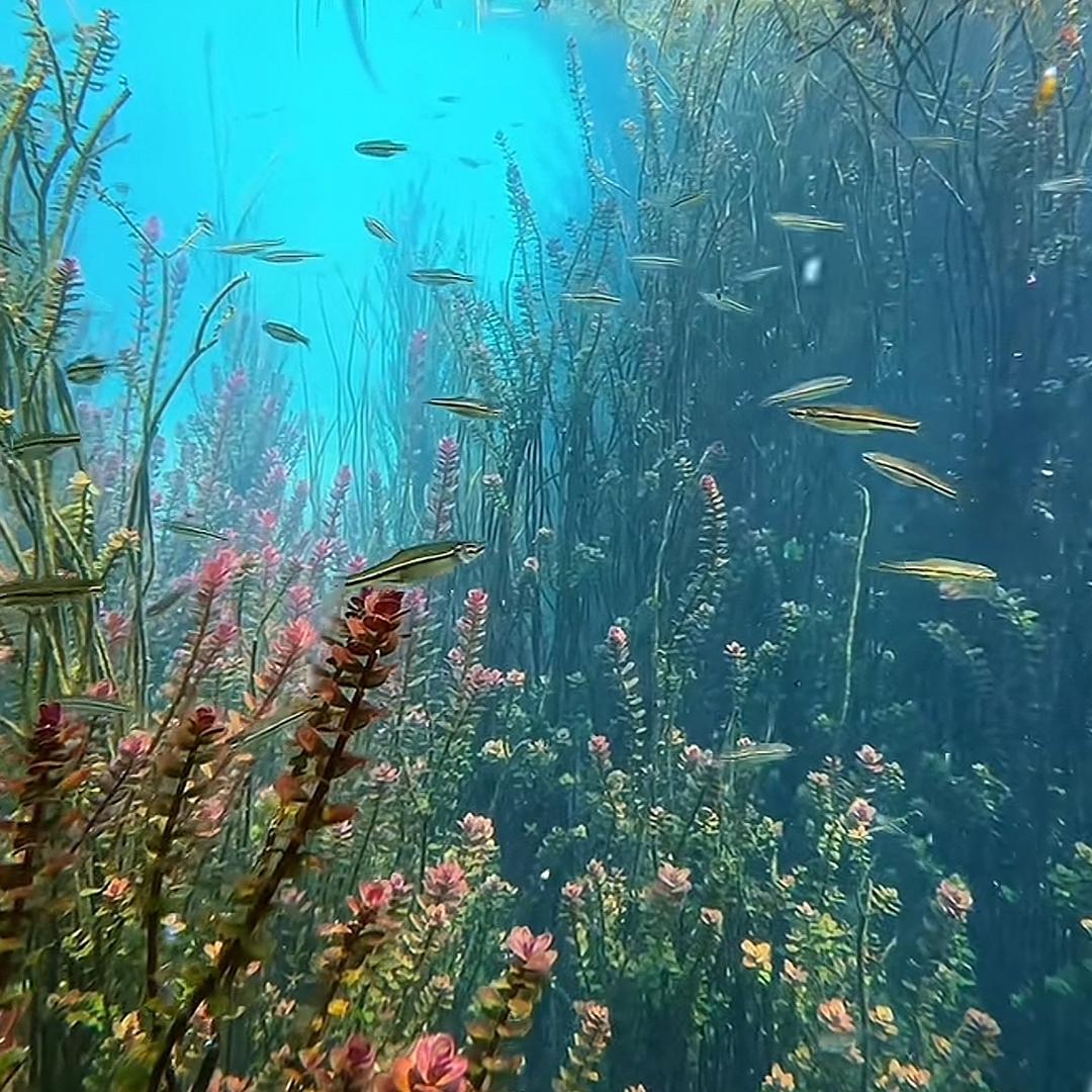 5K蛋糕王张港店