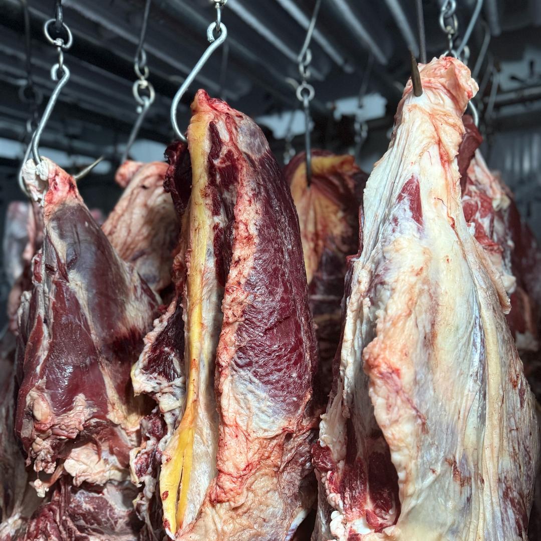 新区努海牛羊肉