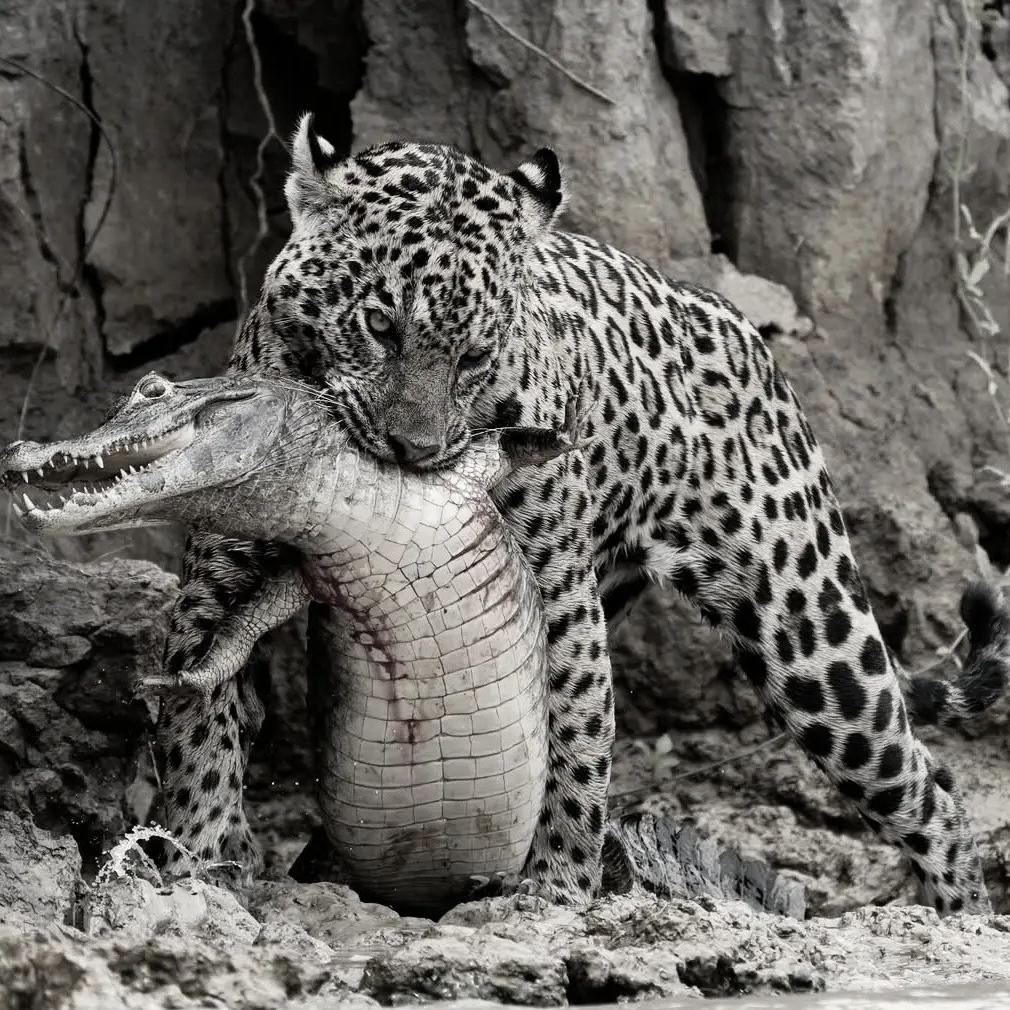 云机汇昆明回收