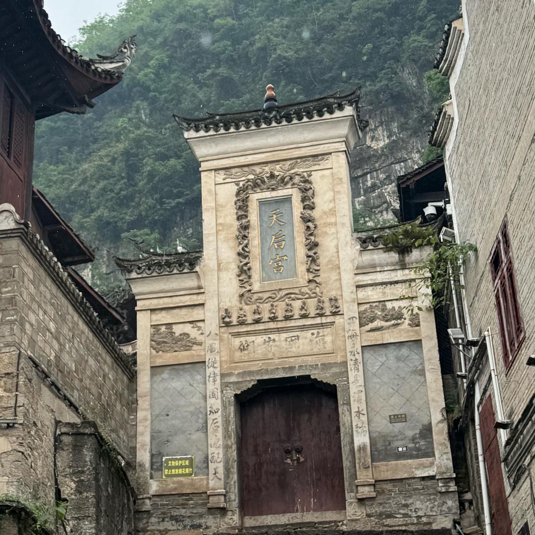黔运子看蛋