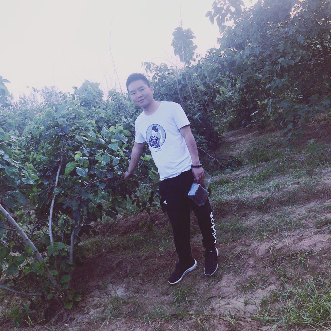 河南禾臻种业科技有限公司