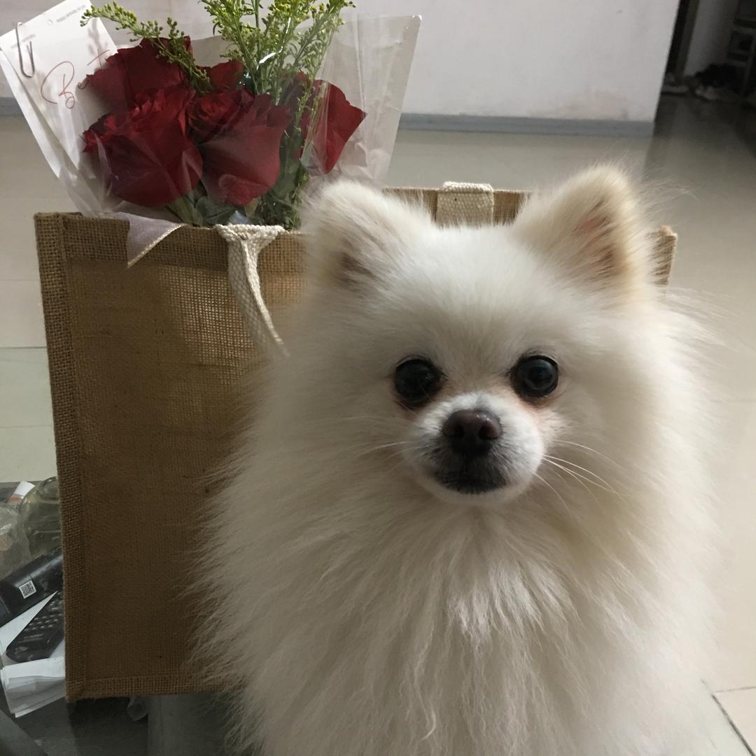 余生过好每一天