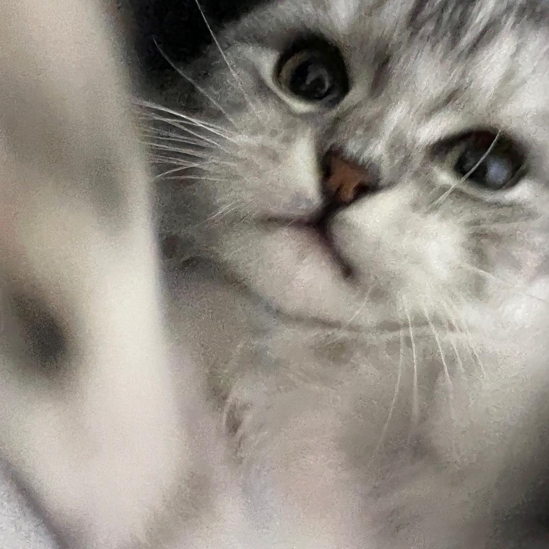116