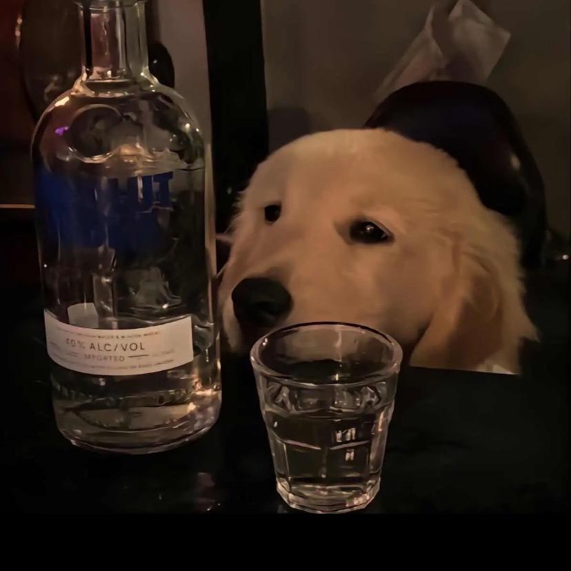 曙澈