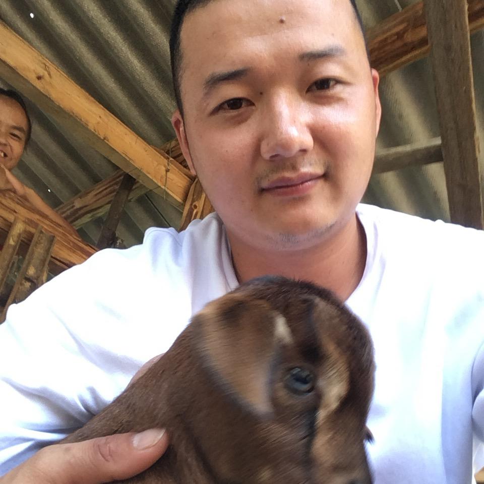 山旮旯的猪(山里肴农产品)