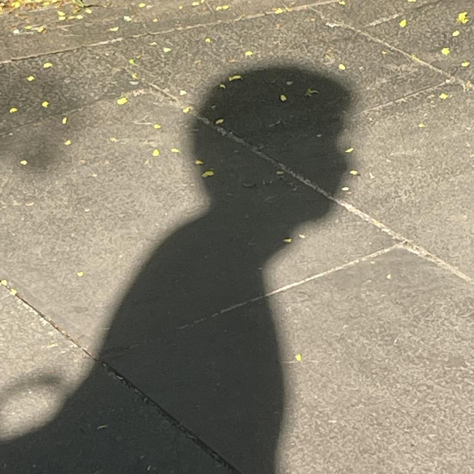 蒙面书生