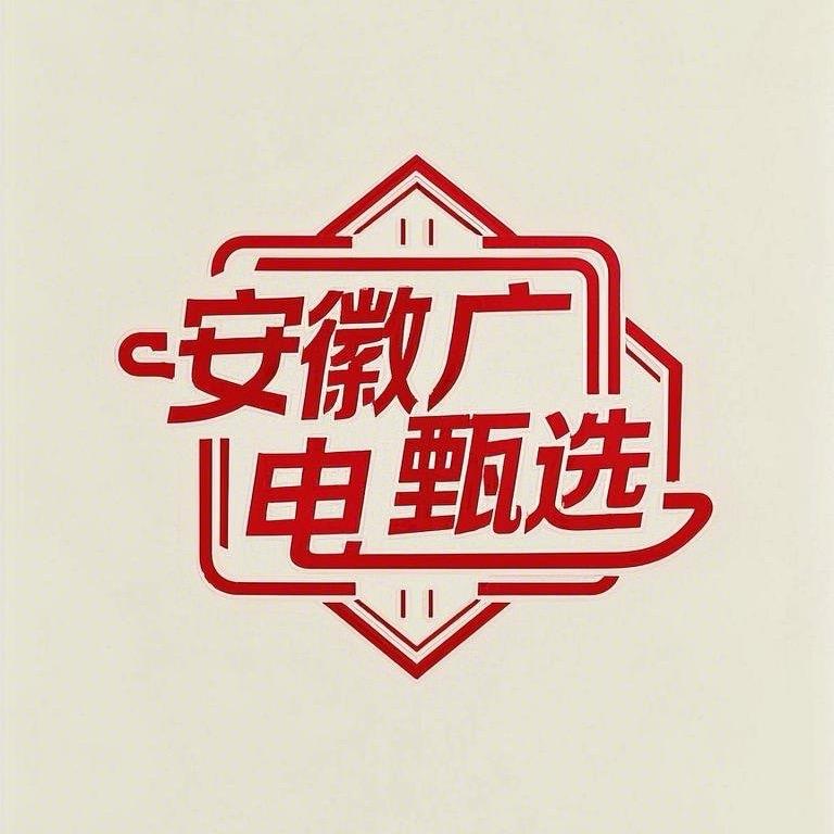 安徽广电甄选