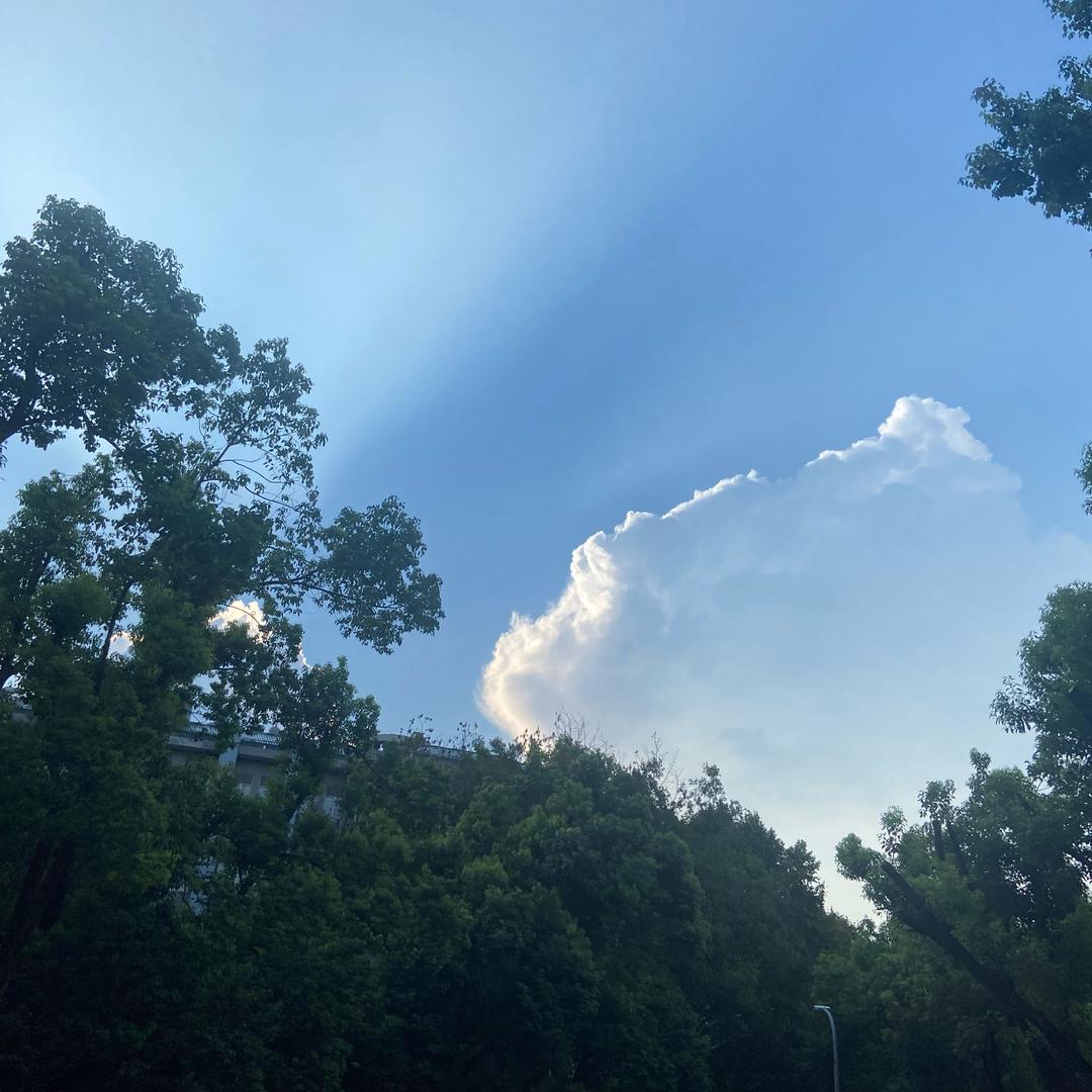 要开心 要快乐 🌞