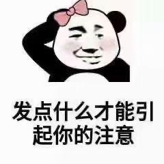 九九