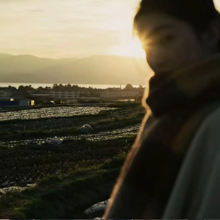 2 8、