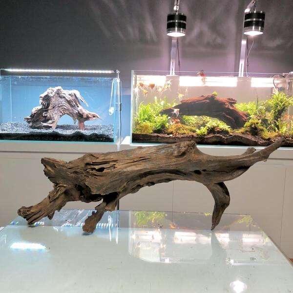 鱼非梦水族造景沉木工作室