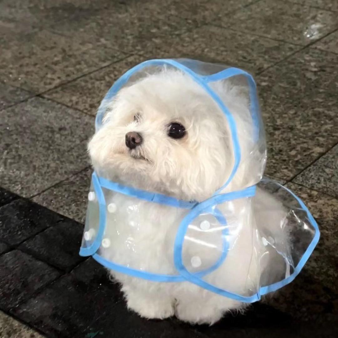 冰人