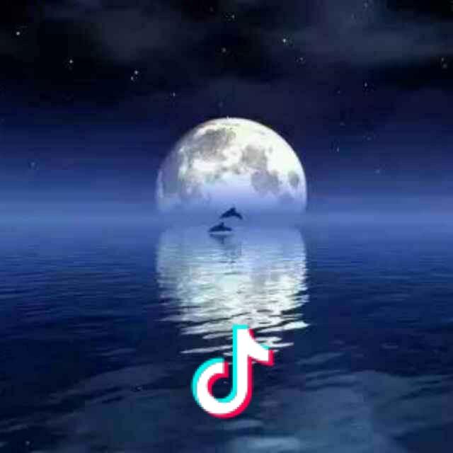 蓝月光（请勿连赞）