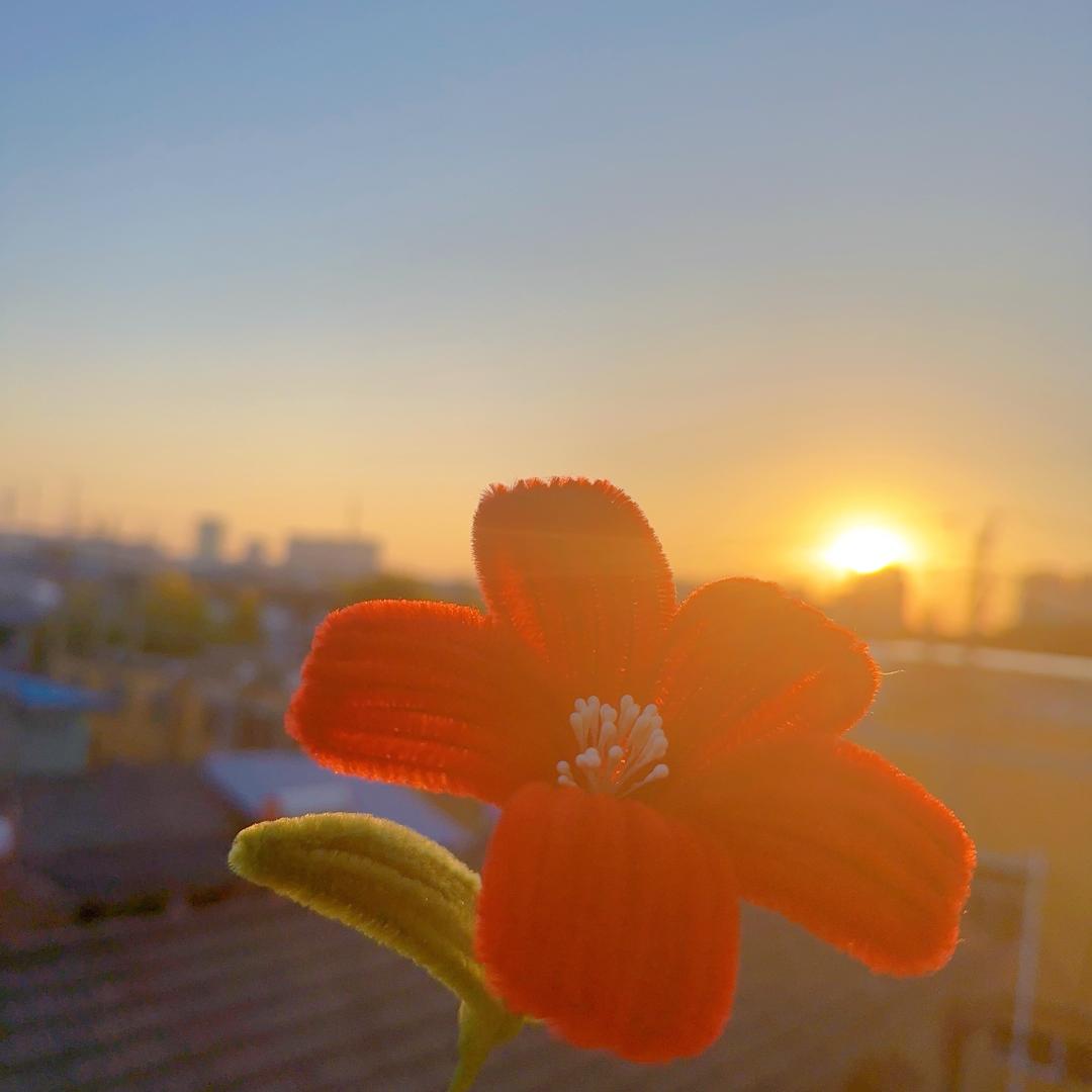 阳阳得亿（手工）