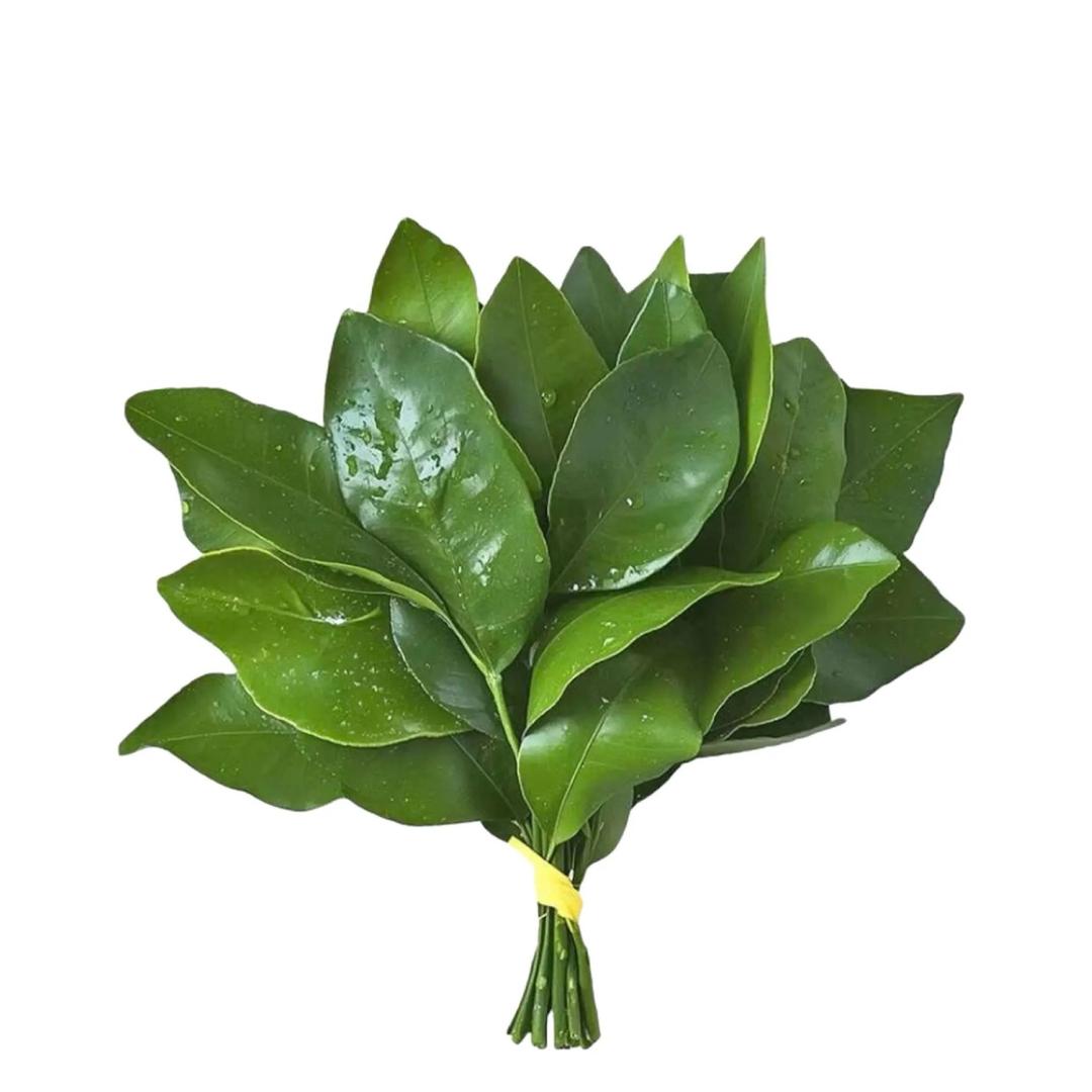 10 24
