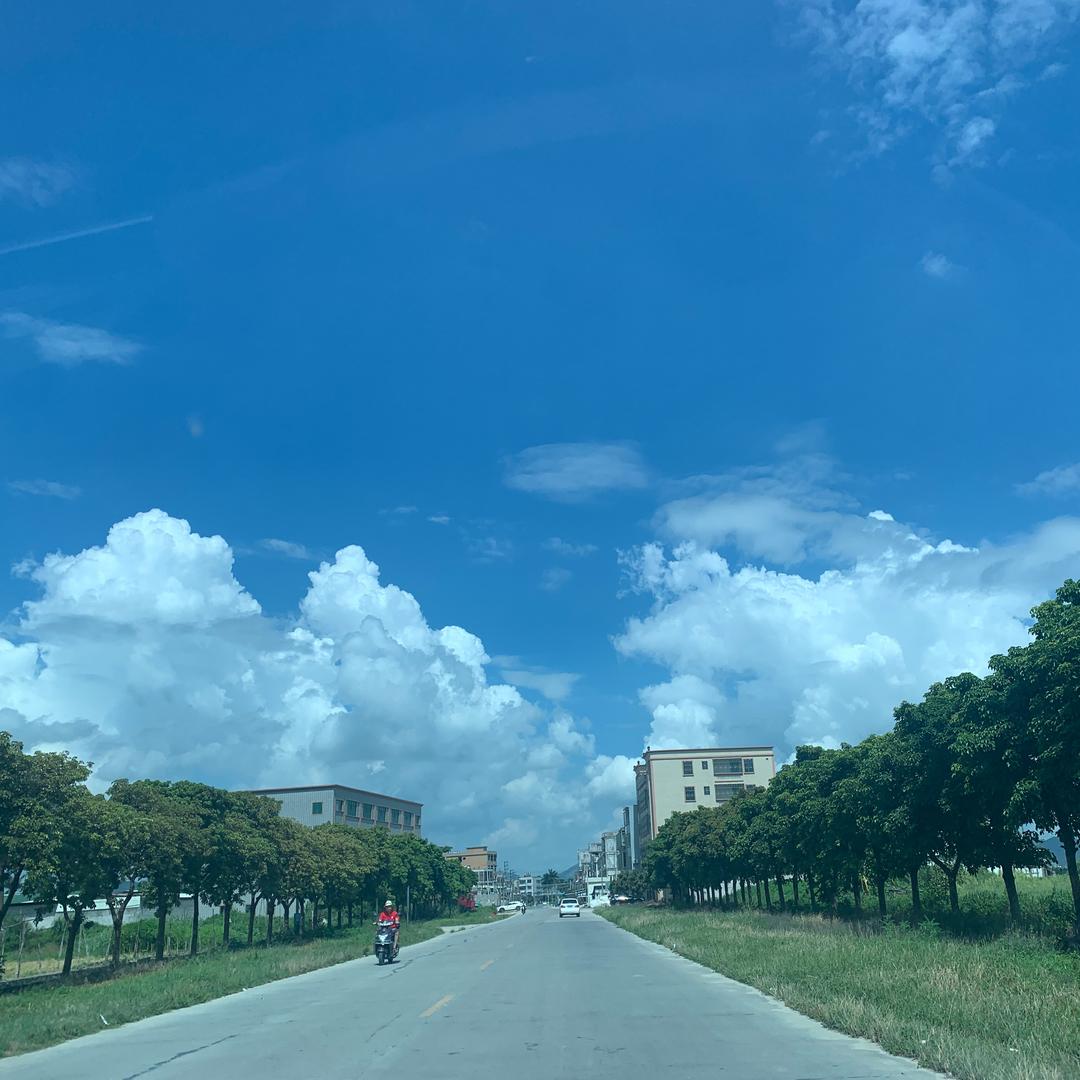 新手司机