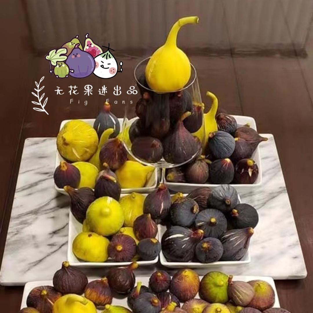 花果迷园艺旗舰店