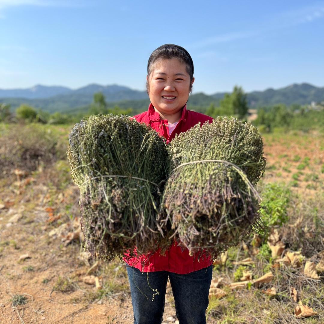 小菲寻山货