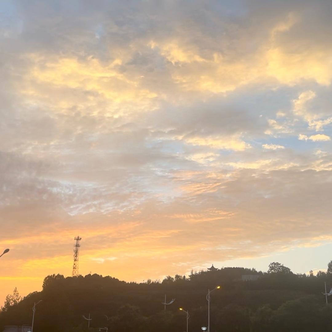 拓海