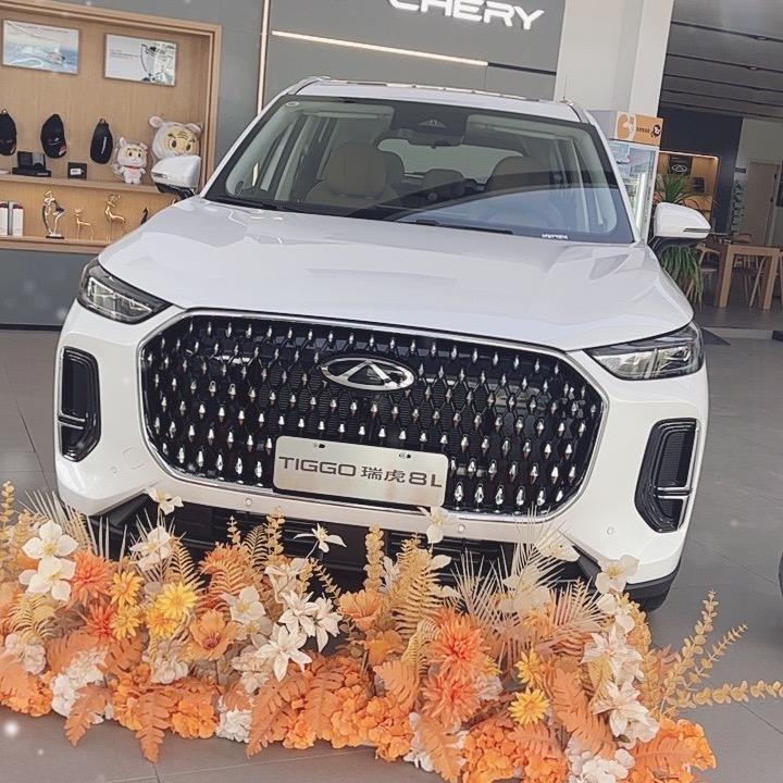 宁波途瑞4S店～小江